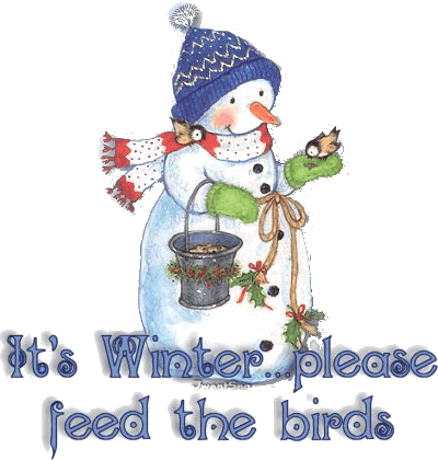 voer de vogels in de winter